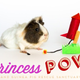 Image: Portland Guinea Pig Rescue